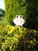 /album/galleria-fotografica/a20140521-142652-jpg/