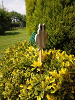 /album/galleria-fotografica/a20140521-143128-jpg/